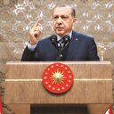 Tepenize ineceğiz