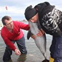 Yunusu kurtarmak için suni teneffüs yaptılar