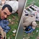 Afrin Harekatında PKK'lı teröristler böyle yakalandı!