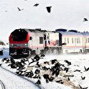 20 bin kişi akın etti