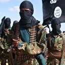 DEAŞ’ı
devreye soktular