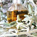 Adaçayının faydaları nelerdir?