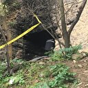 Hayvanlara yemek vermek için çıkınca gördü