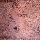 Adana'da ele geçirildi: Paha biçilemiyor