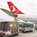 Turkish Cargo balık ihracatını uçuracak