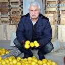 Fiyatı 1,5 liraya gerileyince 'yatağa' alındı