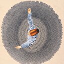 Klasik sanatlarımızı
yüceltmek istiyoruz