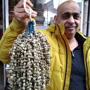 Gramla alınıyor kilosu 150 liradan satılıyor