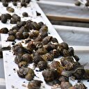 12 milyon dolarlık gelir sağladı