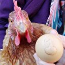 Görenler şaşkınlıklarını gizleyemiyor