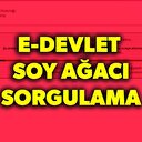 Soy ağacı öğrenme sayfası! e-Devlet soy ağacı öğrenme ekranı giriş