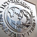 IMF işine baksın
