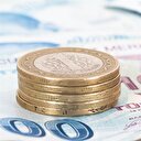 Emekliye 355 lira