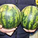 Kilosu 5 lirayla tezgahlarda