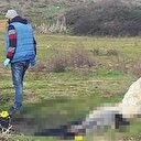 Lise öğrencisi kafasından vurulmuş halde bulundu