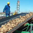 Şeker fabrikaları ile ilgili önemli açıklama