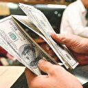 Spekülatif kurda banka eli şüphesi