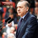 Cumhurbaşkanı Erdoğan: Afrin kontrol altına alındı