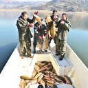 Barajdaki balıktan 823 milyon TL’lik katkı