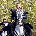 Amerikalılar Ertuğrul Bey'e hayran