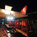 1.5 milyon adet canlı balığı uçakla taşıdı