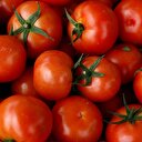 Rusya'dan 4 şirkete daha domates ithalatı izni