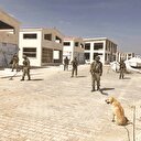 Hain tuzak: 4 şehit