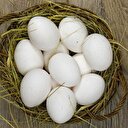 Yumurta, anne sütünden sonra en önemli protein