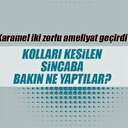 Dünyada ilk kez bir sincaba protez kol takılacak