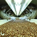 Ülker'den çiftçisine 

  
teşekkür