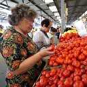 Rusya'dan 2 Türk şirkete daha izin