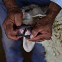 Bakan'dan çağrı: Kesmeyin, kalbime bıçak saplanıyor