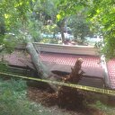 Kestiği ağaç eşinin ölümüne neden oldu