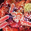 Marmara'da kanserin nedeni sigara