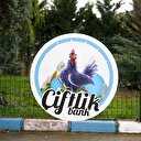 Çiftlik Bank soruşturmasında yeni gelişme: 6 gözaltı