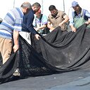 Yasağa 1 hafta kala geri döndüler