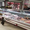 Kasap ile kedinin ilginç diyaloğu kamerada
