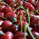 Kirazın kilosu 50 lira