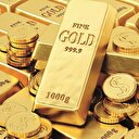 220 ton altın Türkiye’ye geldi