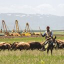 TANAP
örnek proje
oldu