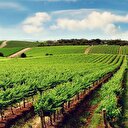 Tarım Kredi gıda fiyatları için devreye giriyor