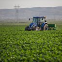 Genç çiftçi projesi devam ediyor: Son başvuru 30 Nisan