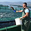 Deneme amaçlı başlandı, ünü Japonya'ya ulaştı
