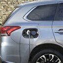 Hibrite büyük talep