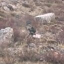Gri listedeki PKK'lı öldürüldü