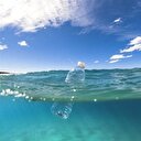 İtalya'da Tremiti Adaları'nda plastik yasağı