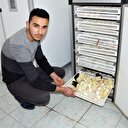 Hobi için başladı, şimdi ihracatını yapıyor