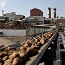 Rekabet'ten 5 şeker fabrikasının satışına onay