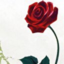 Hadis ilmine kadın bakışı