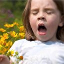 Alerji mevsimi her yıl uzuyor